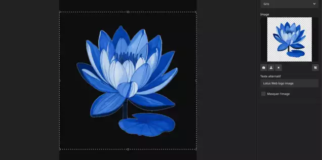 Une fleur de lotus bleue et blanche illustrée numériquement, aux pétales finement dessinés et accompagnée d'une seule feuille sur fond noir, qui dégage une impression de sérénité et d'élégance.