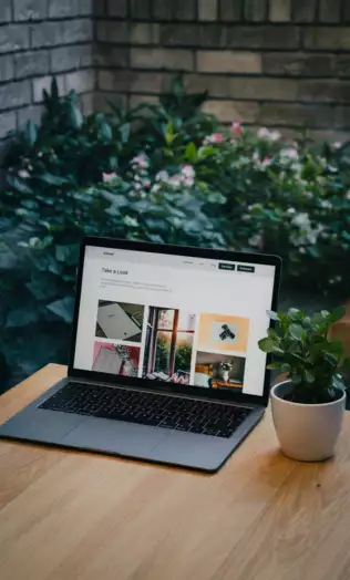 Un ordinateur portable affichant une page web avec des vignettes de photos est pos&eacute; sur une table en bois, &agrave; c&ocirc;t&eacute; d'une petite plante en pot, avec un jardin visible en arri&egrave;re-plan.